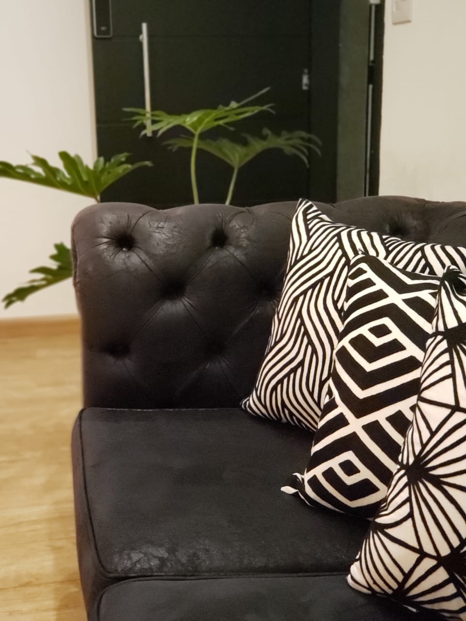 Detalhes - B-Young.jpeg